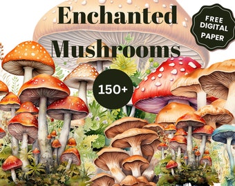 150+ Watercolor Mushrooms | cute forest nature toadstool clip art PNG format | Mushroom Digital Paper | Nature Digital Paper
