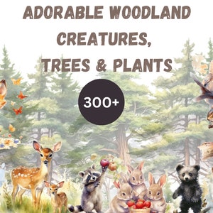 300 clipart de animais da floresta em aquarela, PNGs transparentes, clipart de berçário, raposa, urso, veado, ouriço, coelho, animais em aquarela