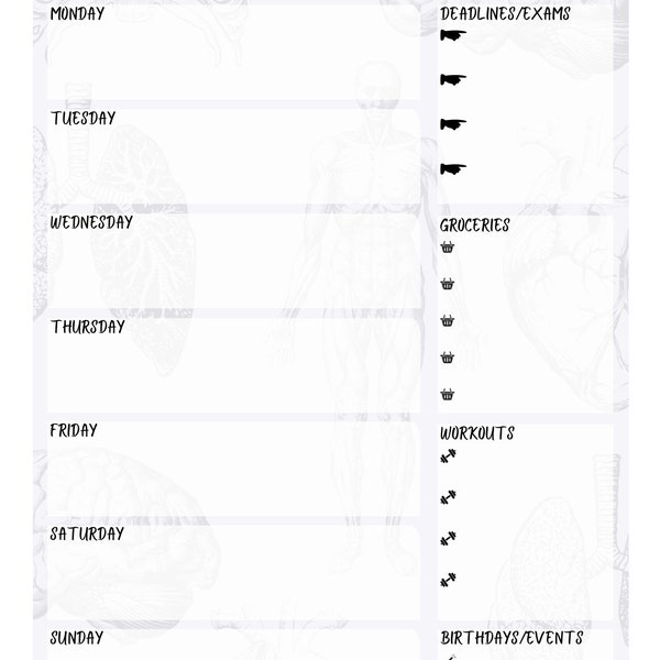 Wochenplaner für Studenten (Design Humananatomie)