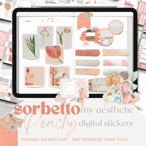 Sorbetto Aesthetic stickers | Goodnotes stickerbook | peachy rose | realistic bullet journal | digital planner decoration | clipart | png