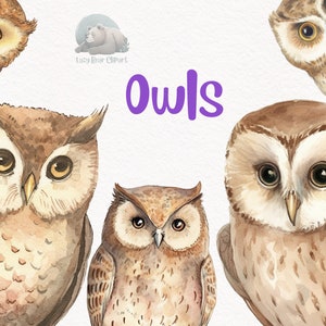 Owl Watercolor Clipart, Cute  Nursery Decor, Wall Art,Baby Shower PNG, Bird Woodland Animal Graphics