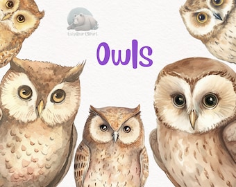 Owl Watercolor Clipart, Cute  Nursery Decor, Wall Art,Baby Shower PNG, Bird Woodland Animal Graphics