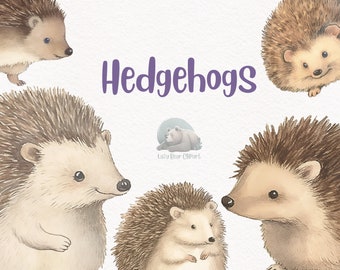 Hedgehog Watercolor Clipart, Cute  Nursery Decor, Wall Art,Baby Shower PNG, Woodland Animal Graphics
