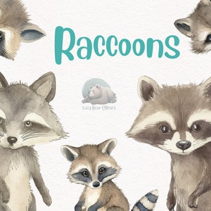 Raccoon Watercolor Clipart, Cute Nursery Decor, Wall Art,Baby Shower PNG, Woodland Animal Graphics