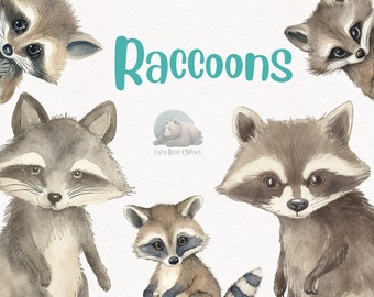 Raccoon Watercolor Clipart, Cute Nursery Decor, Wall Art,Baby Shower PNG, Woodland Animal Graphics
