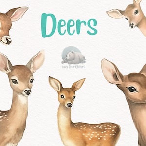 Deer Watercolor Clipart, Cute  Nursery Decor, Wall Art,Baby Shower PNG, Woodland Animal Graphics