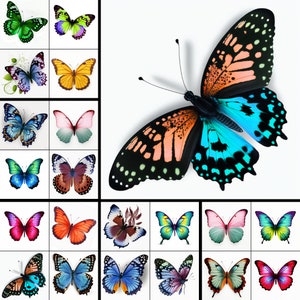 20 Butterfly Clipart butterfly png files white Background butterflies clip art nature Clipart 300DPI butterfly bundle PNGs INSTANT DOWNLOAD
