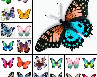 20 Butterfly Clipart butterfly png files white Background butterflies clip art nature Clipart 300DPI butterfly bundle PNGs INSTANT DOWNLOAD