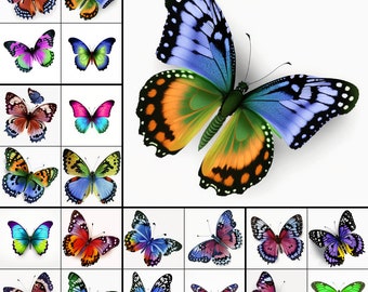 20 Butterfly Clipart butterfly png files white Background butterflies clip art nature Clipart 300DPI butterfly bundle PNGs INSTANT DOWNLOAD