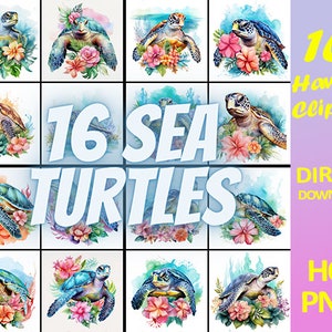 16 Sea Turtles Clipart Sea turtle png files white Background Sea turtles clip art nature Clipart seaturtle 300DPI INSTANT DOWNLOAD