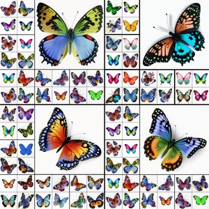 80 Butterfly Clipart butterfly png files white Background butterflies clip art nature Clipart 300DPI butterfly bundle PNGs INSTANT DOWNLOAD