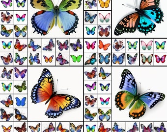 80 Butterfly Clipart butterfly png files white Background butterflies clip art nature Clipart 300DPI butterfly bundle PNGs INSTANT DOWNLOAD