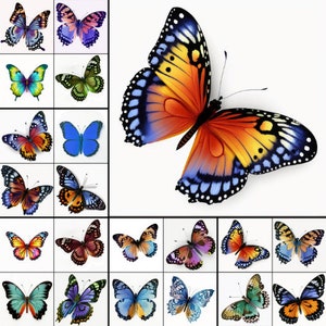 20 Borboleta Clipart borboleta arquivos png fundo branco borboletas clip art natureza Clipart 300DPI pacote de borboleta PNGs DOWNLOAD INSTANTÂNEO