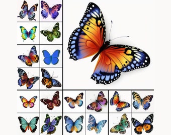 20 Butterfly Clipart butterfly png files white Background butterflies clip art nature Clipart 300DPI butterfly bundle PNGs INSTANT DOWNLOAD