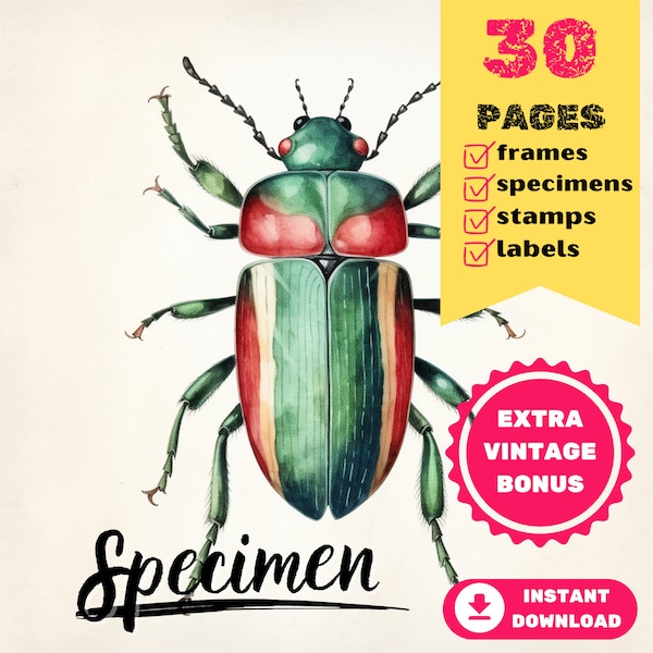 SPECIMEN Frame + ENTOMOLOGY Specimen, Bug Specimen, Mashroom Specimen, Botanical Specimen, Mystery Specimens, Specimen Digital Kit, Ephemera