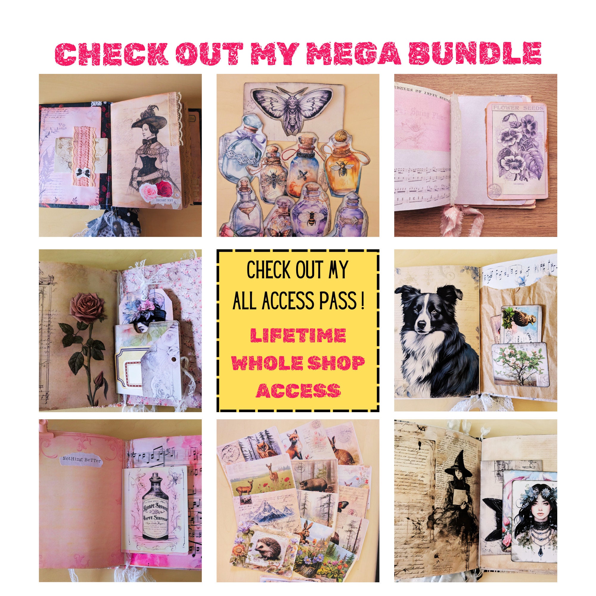 SPECIMEN Frame + ENTOMOLOGY Specimen, Bug Specimen, Mashroom Specimen ...