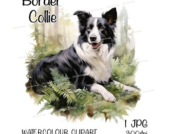 Border Collie Watercolour Dog Clipart, Instant Download Digital Image, High Quality JPEG/JPG, Fun Woodland Walk Scene, Commercial Use