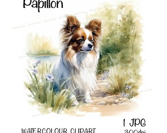 Papillon Dog Clipart, Instant Download Digital Image, High Quality JPEG/JPG, Pretty Watercolour Scene, Commercial Use