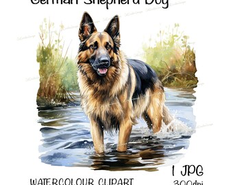 German Shepherd Dog Watercolour Clipart, Instant Download Digital Image, High Quality 300dpi JPEG/JPG, Playful Water Scene, Commercial Use