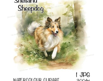 Shetland Sheepdog/Sheltie Watercolour Dog Clipart, Instant Download Digital Image, 300dpi JPEG/JPG, Fun Woodland Walk Scene, Commercial Use
