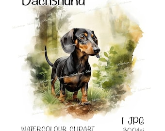 Dachshund (Smooth Haired Black and Tan) Watercolour Dog Clipart, Instant Download Digital Image, JPEG/JPG, Woodland Scene, Commercial Use