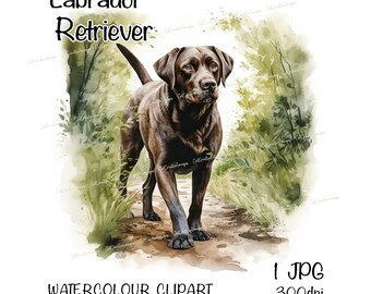Labrador Retriever (Chocolate) Watercolour Dog Clipart, Instant Download Digital Image, High Quality JPEG/JPG, Woodland Scene,Commercial Use