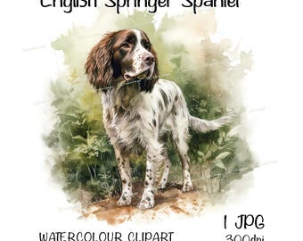 English Springer Spaniel Watercolour Dog Clipart, Instant Download Digital Image, High Quality JPEG/JPG, Woodland Scene, Commercial Use, No1