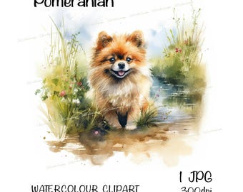 Pomeranian Dog Clipart, Instant Download Digital Image, High Quality JPEG/JPG, Pretty Watercolour Scene, Commercial Use