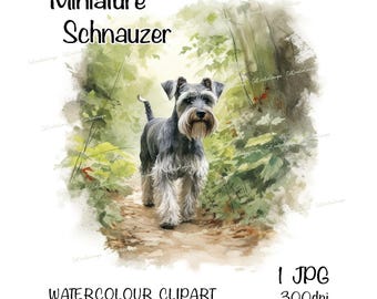 Miniature Schnauzer Watercolour Dog Clipart, Instant Download Digital Image, High Quality JPEG/JPG, Fun Woodland Walk Scene, Commercial Use