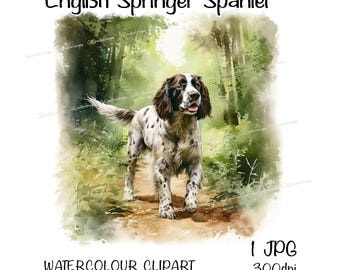 English Springer Spaniel Watercolour Dog Clipart, Instant Download Digital Image, High Quality JPEG/JPG, Woodland Scene, Commercial Use, No2
