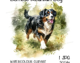 Bernese Mountain Dog Watercolour Clipart, Instant Download Digital Image, High Quality JPEG/JPG, Fun Woodland Walk Scene, Commercial Use