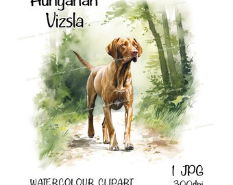 Hungarian Vizsla Watercolour Dog Clipart, Instant Download Digital Image, High Quality JPEG/JPG, Fun Woodland Walk Scene, Commercial Use