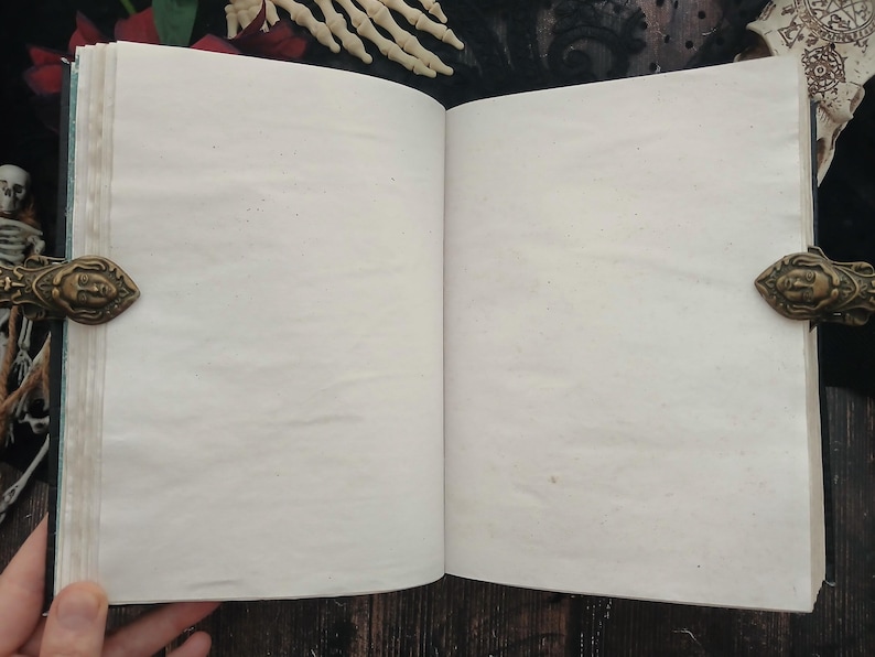 May include: An open, blank book with aged, off-white pages. The book is bound in black with ornate, antique-style clasps. The clasps are bronze-colored and feature a detailed face design. The book is open, ready for writing or display.