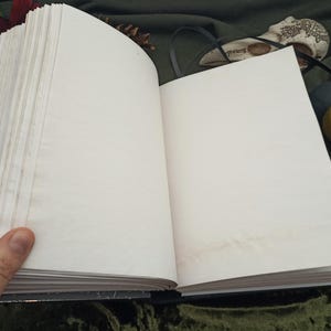 Puede incluir: Un diario abierto con p&aacute;ginas en blanco de color blanquecino. El libro est&aacute; encuadernado en una cubierta oscura y se mantiene abierto con una mano. Las p&aacute;ginas muestran una ligera decoloraci&oacute;n. El fondo incluye una tela verde oscuro, una calavera decorativa y un sello de cera.
