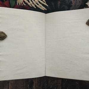 May include: An open, blank journal with aged, off-white pages. The journal is bound with a teal spine and ornate, bronze-colored clasps featuring a face design. The background includes a skeleton hand and other gothic-themed elements.