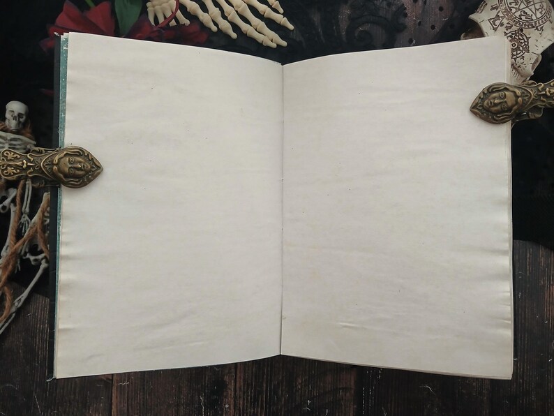 May include: An open, blank journal with aged, off-white pages. The journal is bound with a teal spine and ornate, bronze-colored clasps featuring a face design. The background includes a skeleton hand and other gothic-themed elements.