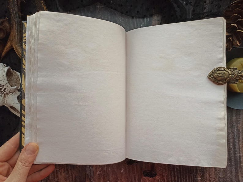 May include: Open blank journal with aged, off-white pages. The journal is held open, revealing the textured paper. A decorative metal clasp with a detailed face design secures the journal. The spine has a black and gold pattern.