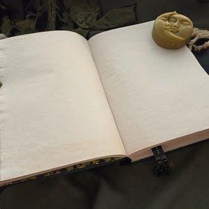 Peut inclure: Un journal ouvert avec des pages vierges de couleur cr&egrave;me, un fermoir d&eacute;coratif et une bougie en forme de lune. Le journal a une couverture sombre et un signet noir. Un bord d&eacute;coratif est visible.