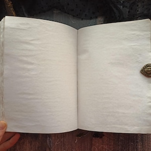 May include: An open, blank journal with aged, off-white pages. A decorative, antique-style metal clasp holds the pages together. The journal is set against a dark, textured background, suggesting a vintage or mystical theme.