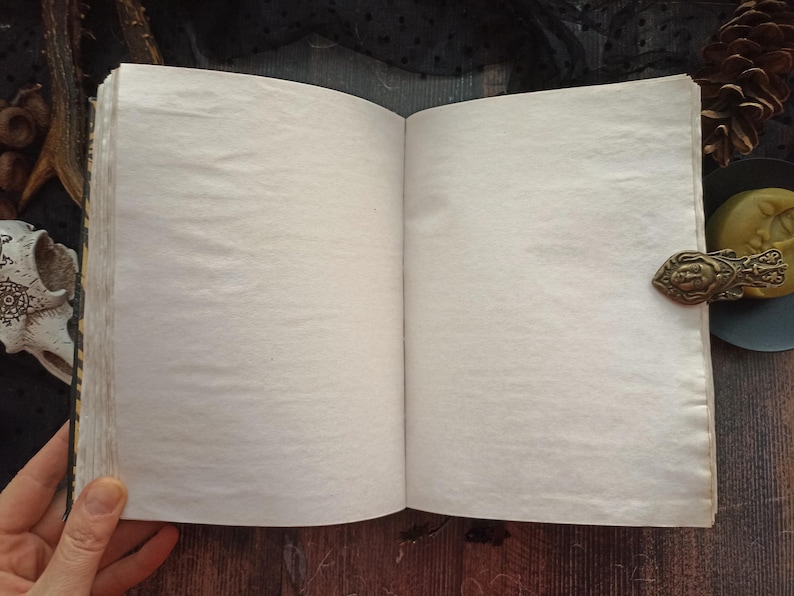 May include: An open, blank journal with aged, off-white pages. A decorative, antique-style metal clasp holds the pages together. The journal is set against a dark, textured background, suggesting a vintage or mystical theme.
