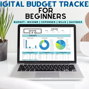 Budget Planner Digital Budget Tracker Budgeting Tool Excel Budget Template Budget Spreadsheet Budget for Beginners Family Budget Planner