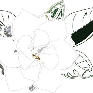 Gardenia 0016 Drawing 1 PNG & SVG. Digital Printable a Story-1-Gardenia.