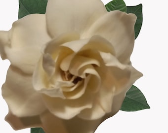 Gardenia 0014 Stampabile Digitale. Illustrazione Artistica. Decorazione per la Casa. Fotografia. Decorazione per Matrimoni.