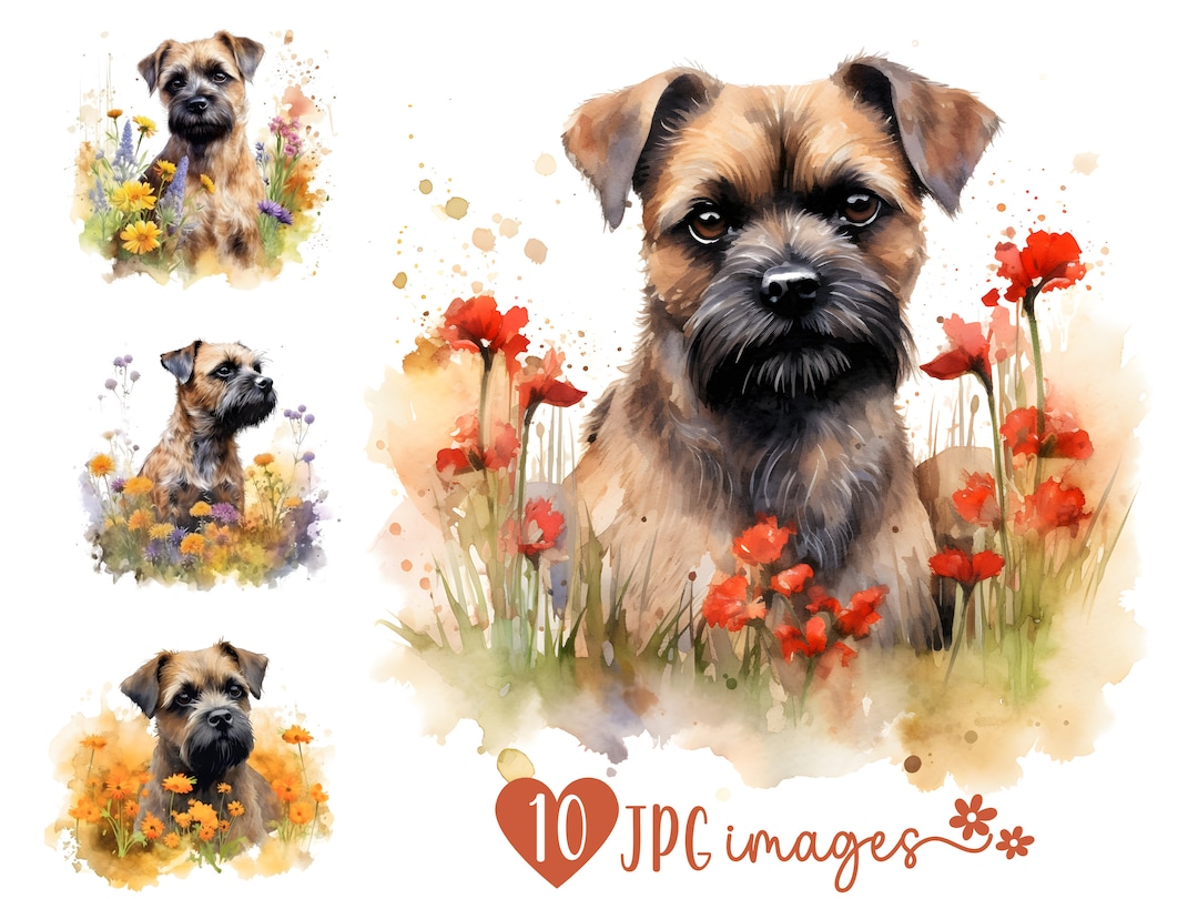 Border Terrier Clipart Bundle, Watercolor Dog Breed Clipart JPG