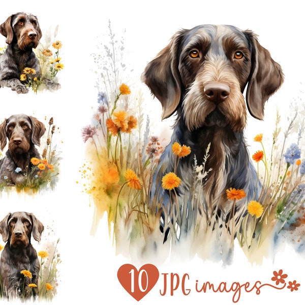German Wirehaired Pointer Clipart Pack, Watercolor GWP JPG images, Digital Art for Sublimation, Printable Clipart, Digital Scrapbooking Kits