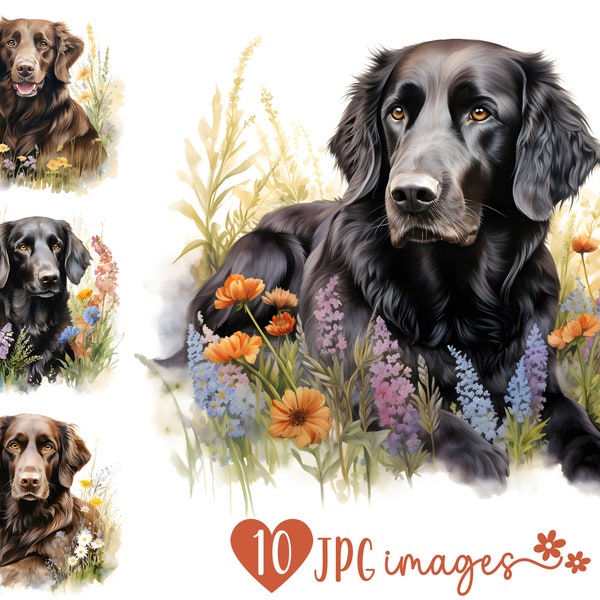 Flatcoated Retriever Clipart Bundle, Watercolor JPG prints, Floral dog images, Digital scrapbooking images, Illustrations for crafting
