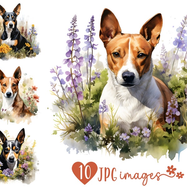 Bundle Clipart Basenji, Images JPG de chien aquarelle, conceptions d'artisanat numérique, Illustrations Basenji avec des fleurs, paquet de Clipart de projet de bricolage