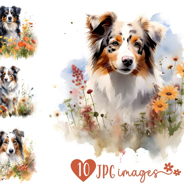 Watercolor Australian Shepherd Clipart Bundle | 10 High Quality JPG | Digital Planner, Junk journal, Merch, Digital Download Commercial Use