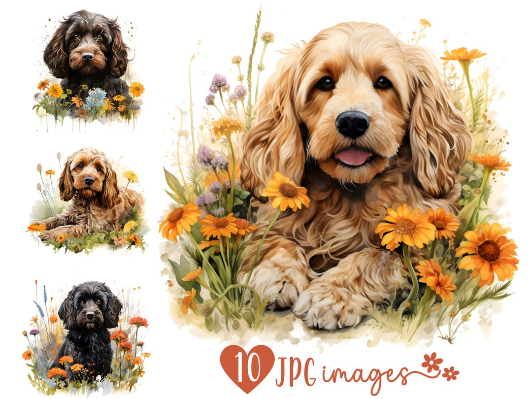 Cockapoo Clipart Bundle, Watercolor Dog Breed Clipart JPG, Cockapoo ...