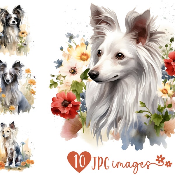 Chinese Crested Clipart Bundle, Aquarel Dog Breed Clipart JPG, Dog Sublimation designs, Dog with Flowers Prints, Dog Breed Digital Images
